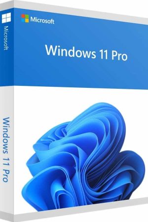 Windows 11 Pro Lisans Satın Al